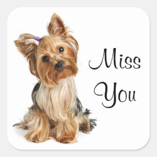 Miss You Yorkshire Terrier Puppy  Dog Stickers