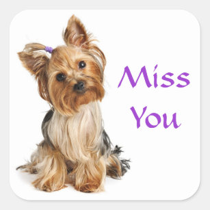 Miss You Yorkshire Terrier Puppy  Dog Stickers