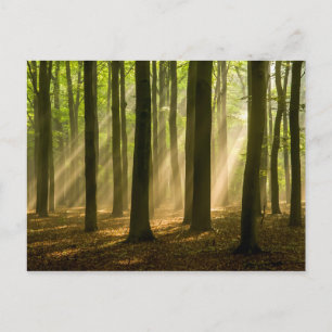 Missed and Loved Postcard