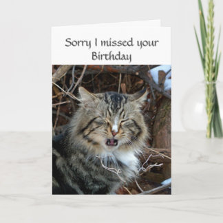 Missed Birthday Cat Photo Greeting Card