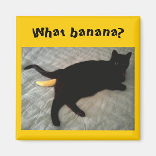 Missing banana cat toy magnet