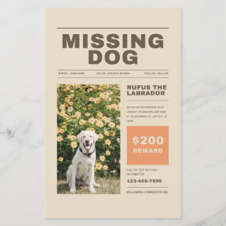 Missing Dog Flyer