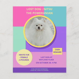 Missing Dog Modern Colourful Photo Poster Flyer