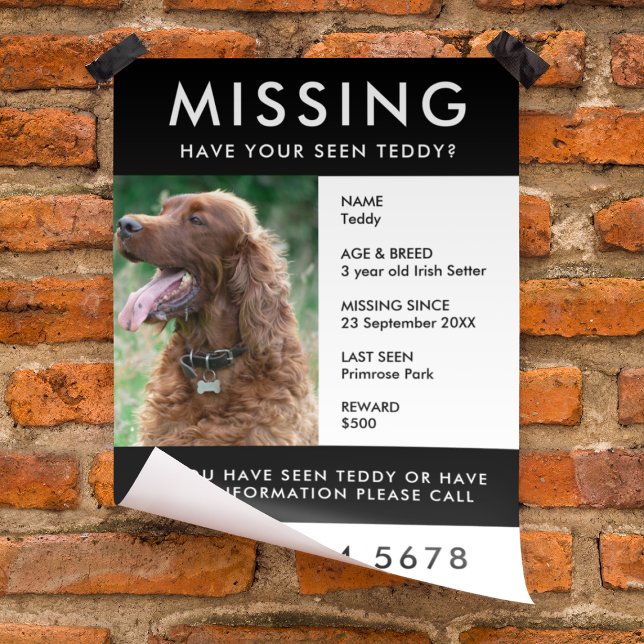 Missing Dog Poster Photo Handout Flyer (Creator Uploaded)