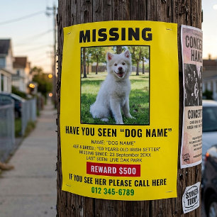 Missing Pet Dog – Urgent Template Poster Flyer
