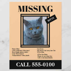 Missing Pet Flyer Custom Photo, Info