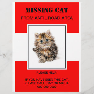 missing pet flyer, poster flyer