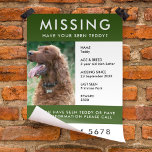 Missing Pet | Modern Green Photo Poster Flyer<br><div class="desc">A simple missing pet flyer poster template, to help spread awareness in the search of a missing dog, cat or other pet. The text is easy to personalise including name, age, breed, missing date, place last seen, reward or ther information. There is space to include a large phone number and...</div>