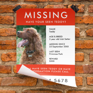 Missing Pet   Modern Red Photo Poster Flyer