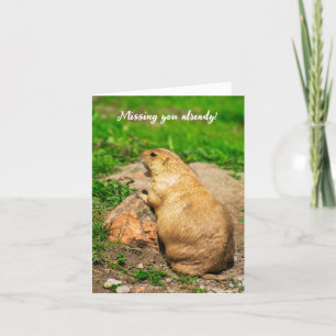 Missing you already! Black-Tailed Prairie Dog Thank You Card