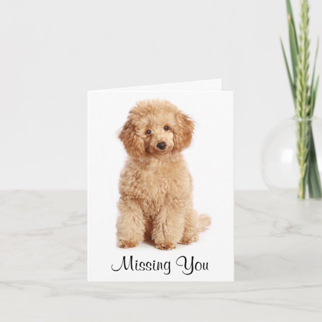Missing You Apricot Poodle Puppy Dog Card (Front)