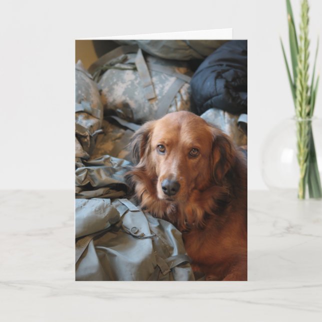 Missing You Army Dog Card (Front)