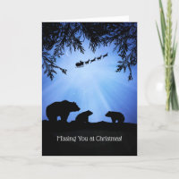 Missing You at Christmas Holiday with Bears Cute