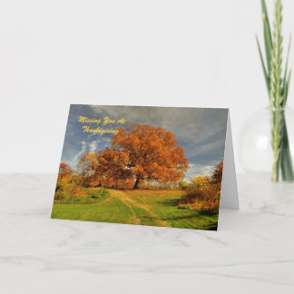 Missing You At Thanksgiving card