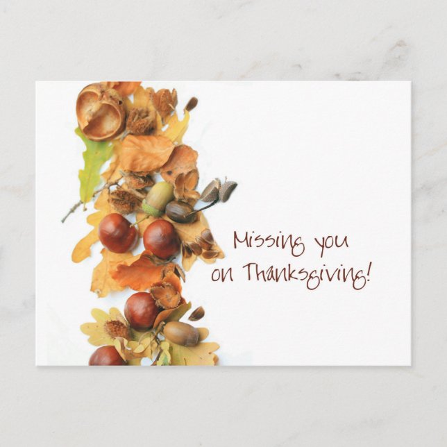 missing you autumn border thanksgiving greeting holiday postcard (Front)