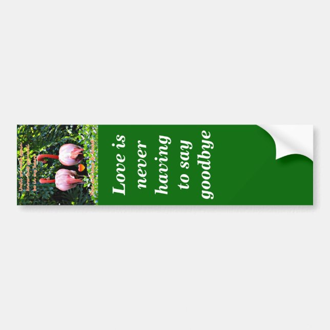 Missing You_ Bumper Sticker (Front)