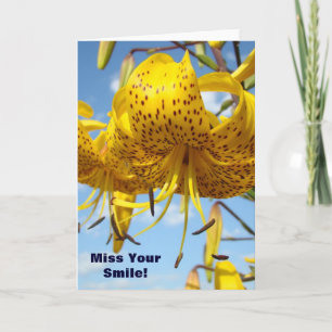 Missing You cards Lily Flowers Blue Sky Miss Your