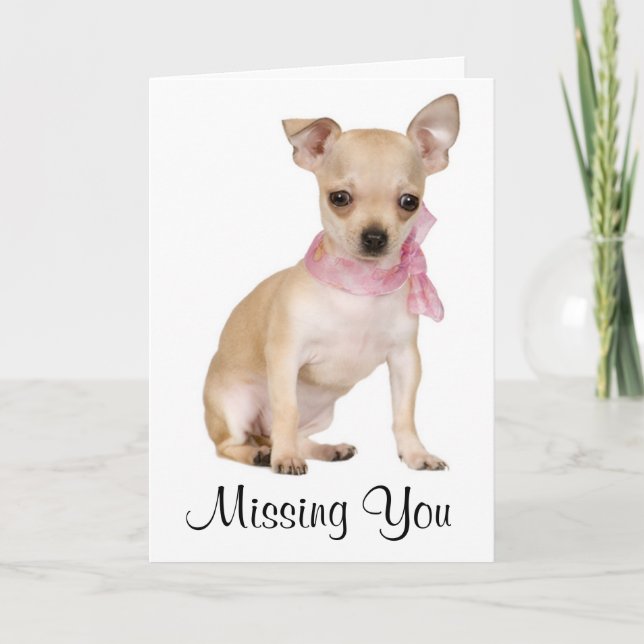 Missing You  Chihuahua Puppy Dog Greeting Card (Front)
