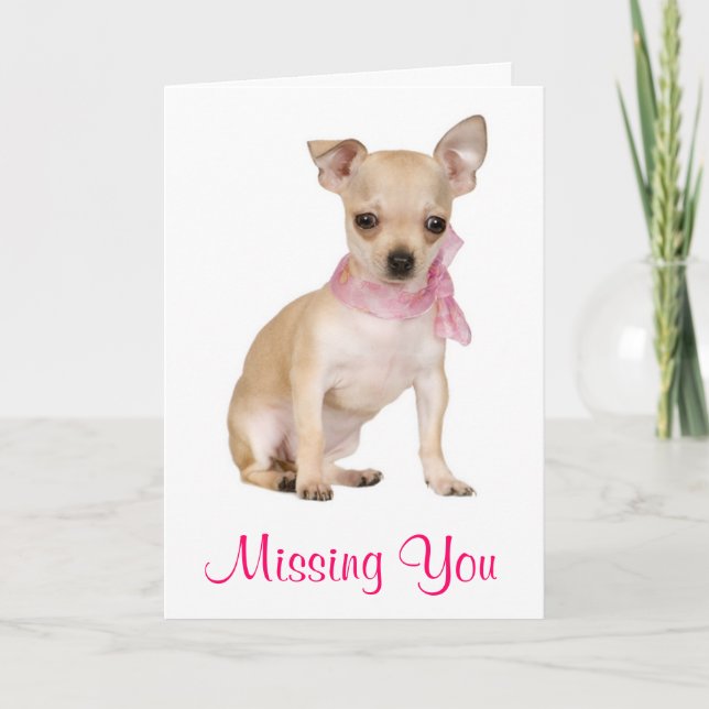 Missing You  Chihuahua Puppy Dog Greeting Card (Front)