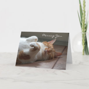 Missing you Cute cat sleeping Card