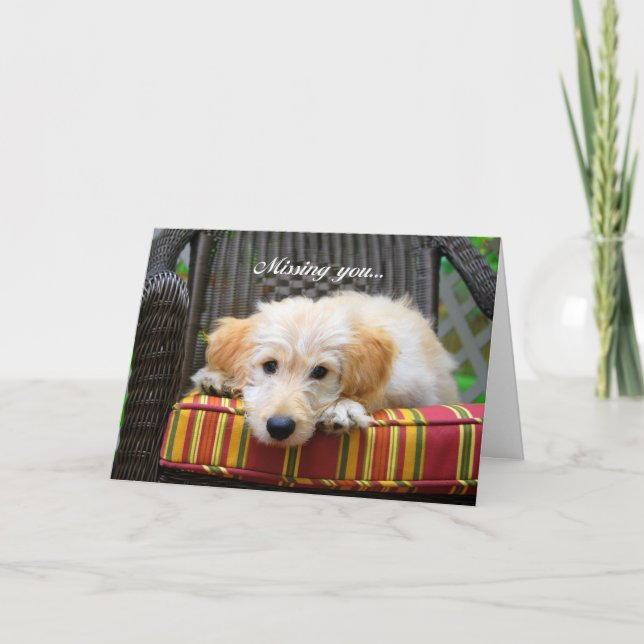 Missing You Golden Doodle Greeting Card (Front)
