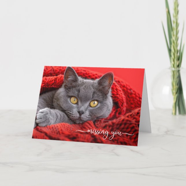 Missing You Gray Cat in a Red Knit Afghan Card (Front)