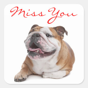 Missing You Happy Bulldog Puppy Dog  Sticker