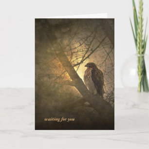 missing you-hawk in tree card