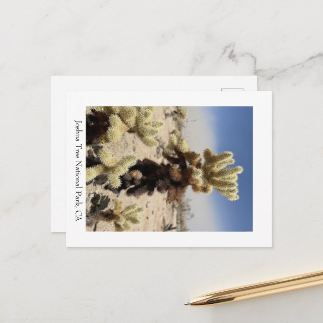 Missing you- Joshua Tree National Park, CA Postcard (Front/Back In Situ)