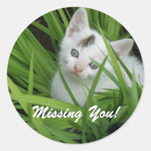 Missing You Kitten Classic Round Sticker