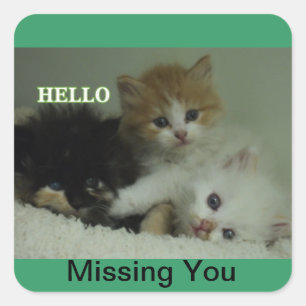 Missing You kittens stickers