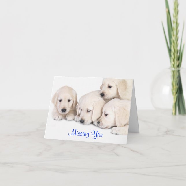 Missing You Labrador Retriever Puppies Card (Front)