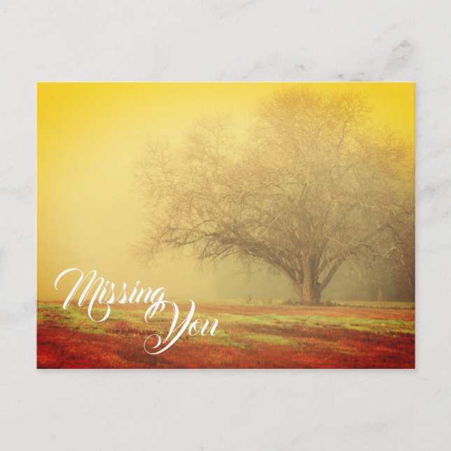 Missing You Landscape Postcard (Front)