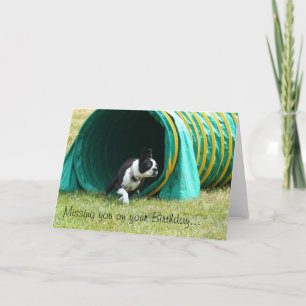Missing you on your Birthday Boston Terrier Card