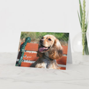 Missing you on your Birthday Cocker Spaniel card