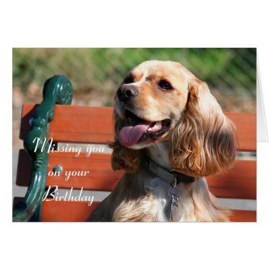 Missing you on your Birthday Cocker Spaniel card