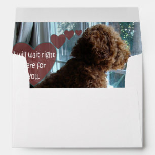 Missing You - Poodle - Envelope