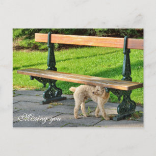 Missing you postcard