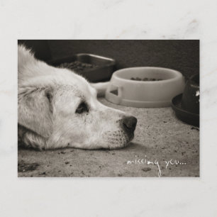 Missing you - Postcard