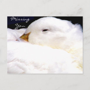 Missing You_ Postcard