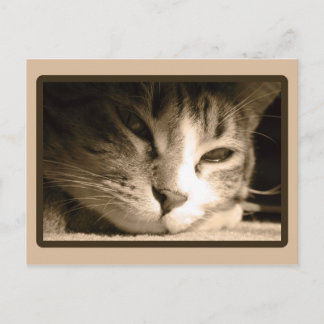 Missing You Postcard