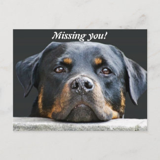 Missing you! postcard