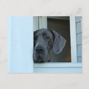 Missing You Postcard