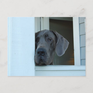 Missing You Postcard