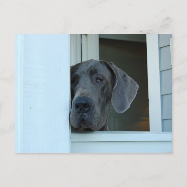 Missing You Postcard (Front)