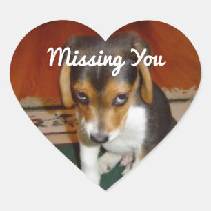 Missing You Puppy Sticker
