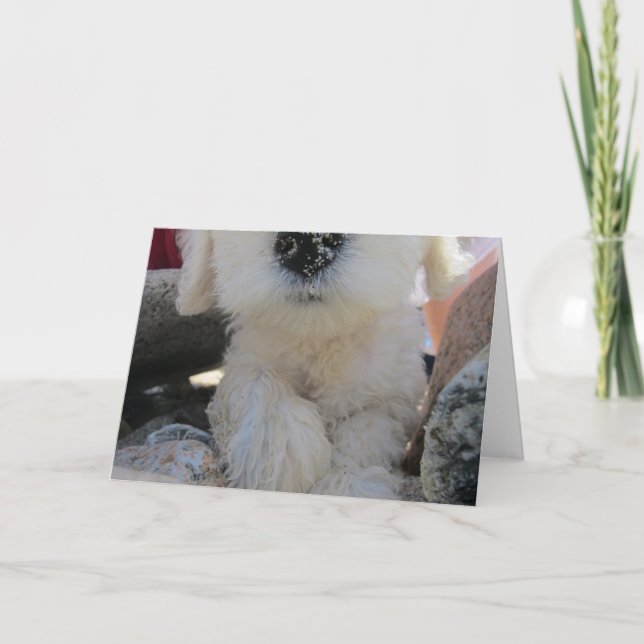 Missing You, Romantic Custom Cute Goldendoodle pup Card (Front)