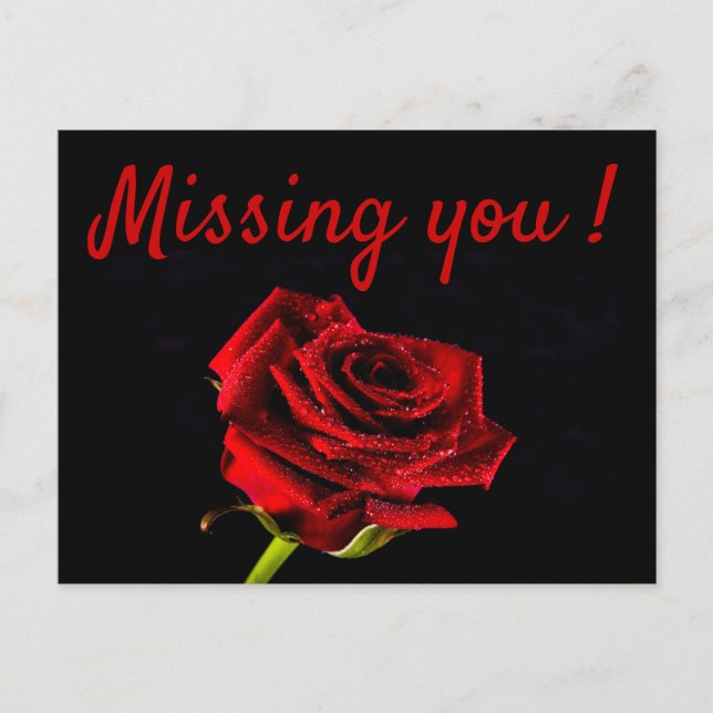 Missing you romantic red rose photo postcard (Front)