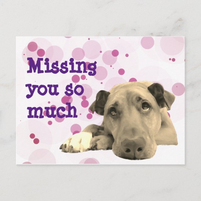 Missing you sad dog postcard (Front)