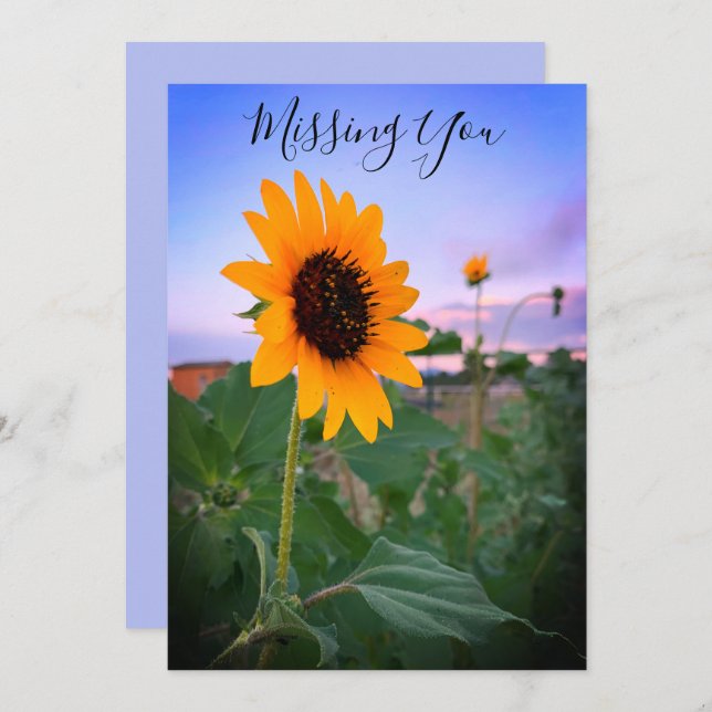 Missing You Sunflower At Dusk Photo Custom Card (Front/Back)